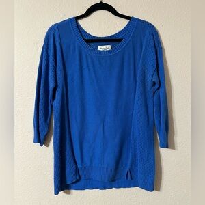 American Eagle Outfitters Royal Blue Crew Neck Sweater